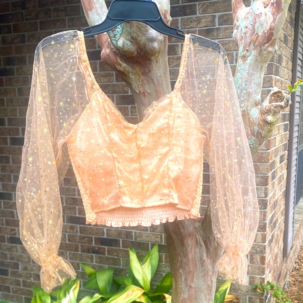 Peach Star-Embellished Mesh Sleeve Crop Top